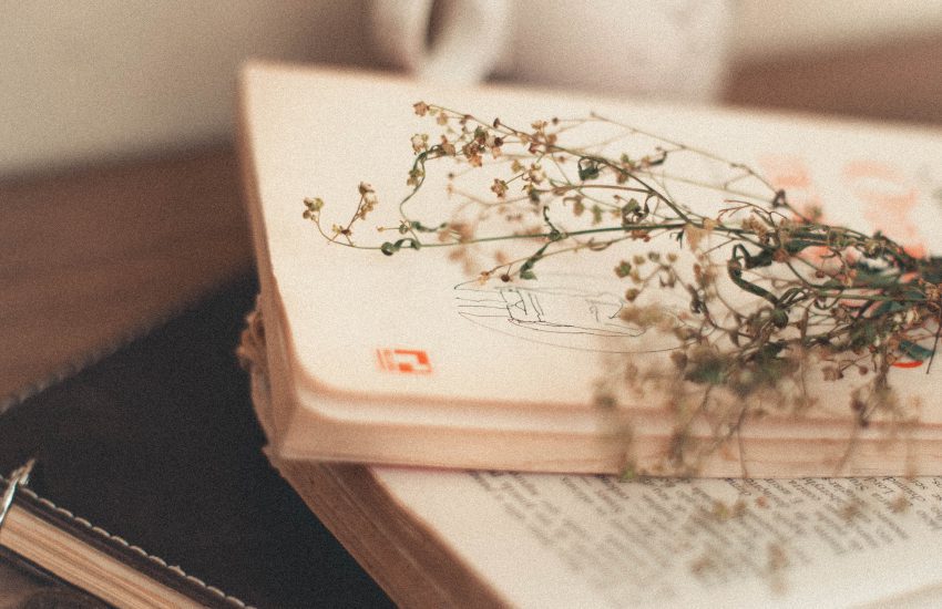 literatura obyczajowa